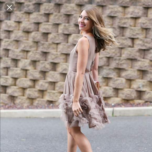 Lauren Conrad Ruffle Organza Dress Size 10 BNWT! - Picture 8 of 8